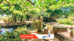Jardim Japonês em Caldas Novas