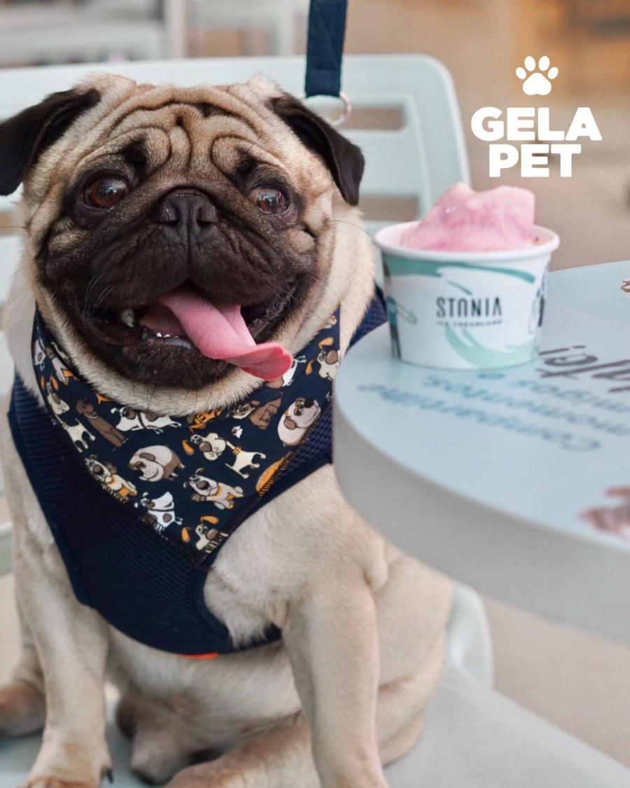 Stonia Gelato e Café em Caldas Novas